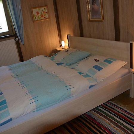 Ferienwohnung Irmgard هاوتسنبرغ المظهر الخارجي الصورة